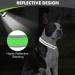 Joytale Neoprene Dog Collar for Medium Dogs - Softly Padded Reflective Green - Durable Nylon Ideal for Safe Walks (1 Pack) - Buy Online on SooperMarket.com