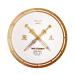 Yikun Professional Disc Golf Twin Swords Tortoise Fruit Line Distance Driver 170-175g Perfect for Outdoor Games and Competition Golden
