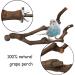 PINVNBY Natural Parrot Perch Stand Wild Grape Stick Toy for Small Birds - 2PCS - Buy Online on SooperMarket.com