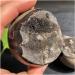 FUERLI Natural Stones and Minerals Large Beautiful Dragon septarian geode Egg Around 200-1000g Home Decoration Very (Size : 400-500g) HOMEZHOU (Size : 500-600g) - Buy Online on SooperMarket.com