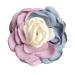 Sweet Rose Flower Hair Claws Set - 2PCS Pink & Pink Blue | Women's Hair Accessories - Buy Online on SooperMarket.com