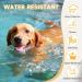Repellent Collars for Dogs Repellent Collar for Dogs Adjustable Water Resistant repellent Collar Dog Natural Dog repellent Collars for Puppies Small Medium Large Dogs Blue 2pack - Buy Online on SooperMarket.com