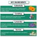 All Good Goop Calendula Ointment â€“ Chafing Cream & Dry Skin Salve (2 oz) | Chapped Lips Relief - Buy Online on SooperMarket.com