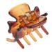 Fityle 12-Piece Resin Mini Hair Clip Set - Trendy Hair Grippers & Claws | Stylish Hair Accessories in Coffee Color for All Hair Types - Buy Online on SooperMarket.com