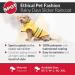 Ethical Pet Fashion Coat Rainy Day Yellow Md - Size Medium - Buy Online on SooperMarket.com