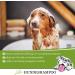 Lillis Naturals Dog Shampoo with Natural Herbs - 500ml for Skin & Coat Care | International Shipping - Buy Online on SooperMarket.com