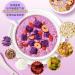 Purple potato konjac Congee 600g/can Instant Lotus Root Starch Soup food replacement Breakfast porridge Sweet potato red date chia powder Nutritious and Healthy oatmeal cereals Chinese snack (5can) - Buy Online on SooperMarket.com
