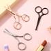 WLLHYF 3 Packs Nose Hair Scissors Rounded Tip Eyebrow Mustache Ear Hair Grooming Trimming Stainless Steel Professional Small Beard Nail Cuticle Eyelashes Beauty Scissors for Men Women Black/Silver/Rosegold - Buy Online on SooperMarket.com