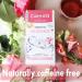 Breastfeeding Tea for Nursing & Lactation Supports Milk Supply Naturally Caffeine Free & High In Antioxidants 40 Fenugreek Red Bush & Fennel Biodegradable Teabags - Buy Online on SooperMarket.com
