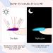 Glow in the Dark Spider Gel Nail Art - 6 Colors Luminous Drawing Gel for DIY Manicure | UV LED Soak Off Elastic Line Painting Gel with Brushes - Buy Online on SooperMarket.com
