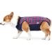 Heywean Dog Recovery Suit - Post-Op Wound Protection & Medical Shirt for Dogs | XXXL Marine Plaid - Buy Online on SooperMarket.com