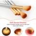 DFHBFG Professional Makeup Brush Set - Blusher Foundation Concealer & Eye Shadow Brushes for Flawless Beauty - Buy Online on SooperMarket.com