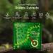 Premium Henna Powder 100gm | Natural Hair & Body Art | International Shipping - Buy Online on SooperMarket.com