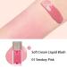 Paminify Soft Cream Liquid Blush - Lightweight & Blendable Dewy Blush Stick | Cruelty-free Smokey Pink Shade - Buy Online on SooperMarket.com