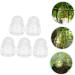 GANAZONO 10 Pcs Vegetable Plastic Fruit Fruits Ginseng Fruit Cucumber Modeling 7.6x5.6cmx2pcs Transparentx2pcs - Buy Online on SooperMarket.com