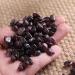 Natural Crystals and Stones 100g 7mm-9mm Natural Red Garnet Quartz Stone Gravel Ornaments for Gift for Decoration kaixun - Buy Online on SooperMarket.com