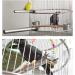 Litewood Stainless Steel Bird Perch Stand Cage Shelf for Parakeet Cockatiel Conure African Grey Macaw - 11.79x0.98inch - Buy Online on SooperMarket.com