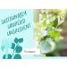 Babo Botanicals Eucalyptus Remedy Shampoo & Wash - Eucalyptus & Rosemary Oils - EWG Verified, Vegan & Cruelty-Free - 16 fl. oz - Buy Online on SooperMarket.com