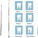 Symphonyw Stainless Steel Dog Calculus Remover - 2PCS Dental Teeth Cleaning Tools - Buy Online on SooperMarket.com