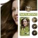 Naturtint 6GA Deep Almond Brown Hair Colour: Ammonia-Free, Grey Coverage, Plant Enriched - Buy Online on SooperMarket.com