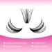 Fadlash 50D 0.07 C Curl Cluster Eyelash Extensions - 200 PCs DIY 15-20mm for Home Use - Buy Online on SooperMarket.com