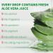 PrimeCove - 92% Aloe Vera Gel (300ml) | Soothing & Cooling | For Hair Face & Body | Fast-Absorbing Moisturiser | Skin-Firming & Protective | All Skin Types - Buy Online on SooperMarket.com