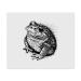 2 x Microfiber Cleaning Cloths "Natterjack Toad" (LC00023232)