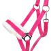 NETPROSHOP Solid Horse Halter - Padded Adjustable for Mini Shetty to Full & Coldblood - Pony Size Pink Color - International Shipping Available - Buy Online on SooperMarket.com