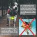Laroo LED Flashing Safety Lights for Dogs & Cats - Rechargeable Turn Signal for Walks & Outdoor Sports (Green) - Buy Online on SooperMarket.com