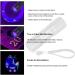 TOINGO UV Flashlight 9 LED 395nm Blacklight Detector for Dog Urine & Pet Stains - Buy Online on SooperMarket.com