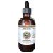 HawaiiPharm Skullcap, Veterinary Natural Alcohol-Free Liquid Extract, Pet Herbal Supplement 2 oz