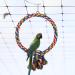Aedcbaide Bird Parrots Toys 2 Pack Parakeet Parrot Swing Chewing Hanging Toys with Bell 59inch Bird Cotton Rope and 7Inch Diameter Bird Hanging Swing for Budgie Cockatiels Conures Finches - Buy Online on SooperMarket.com