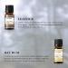 EUQEE 6PCS Men's Fragrance Oils Gift Set - Premium Grade 10ml Scents for Men's Pubs - Leather, Sweet Tobacco, Dragon's Blood, Sandalwood, Bay Rum, Cedarwood - Buy Online on SooperMarket.com
