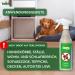 Envira Flea Spray - 2L Eco-Friendly Anti-Flea Treatment for Home | Odorless Water-Based Solution - Buy Online on SooperMarket.com