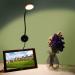Youngine EU Plug Reading Lamp - 5W Flexible LED Bedside Light with On/Off Switch - Swan Neck Design for Bedroom & Office - 3000K Black & Warm White - Buy Online on SooperMarket.com