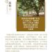 Pu-erh tea 2017 Yi Wu Hongyin 357g Raw - Buy Online on SooperMarket.com