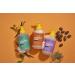 Alaffia EveryDay Shea Foaming Hand Soap - 2 Pack Vanilla Mint 18 Fl Oz - Cruelty Free, Paraben & Sulfate Free, Vegan Formula with Fair Trade Shea Butter for Cleansed, Moisturized & Refreshed Hands - Buy Online on SooperMarket.com
