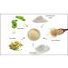Raya Bio-Sulfur Masque | Deep Cleansing Facial Clay Mask for Oily Skin | Exfoliating Face Pack with Vitamin-B & Bio Sulfur | Control Breakouts & Oiliness - Buy Online on SooperMarket.com