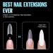 TOMICCA Long Oval French Edge Nail Tips - 240pcs Clear Matte False Nails for Acrylic Extensions | Half Cover Artificial Nails in 15 Sizes - Salon Quality - Buy Online on SooperMarket.com
