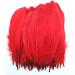 100pcs Red Goose Feathers 6-8 Inch - Ideal for Crafts, Wedding Decor, Clothing Accessories - Buy Online on SooperMarket.com