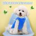 Cool Vest for Dogs - Breathable Summer Shirt for Small Medium & Large Dogs | Perfect for Outdoor Activities - Buy Online on SooperMarket.com