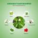 Adivasi Herbal Shampoo - Nourishing Hair Growth & Healthy Scalp | 100ml - Buy Online Worldwide - Buy Online on SooperMarket.com