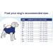 MPS Medical Pet Shirt Dog Surgery Recovery Suit Zebra-Print Medium + Medium+ (plus) - Buy Online on SooperMarket.com