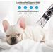 Enjoyfeel Dog Grooming Clippers Electric Pet Trimmer Cordless and Low Noise Grooming Set for Dogs Cats Professional USB Rechargeable Hair Shaver Set - Buy Online on SooperMarket.com