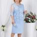 Womens Plus Size Floral Lace Sheath Dress - Knee Length Work Casual Party Cocktail (XXXL Blue-1) - Buy Online on SooperMarket.com