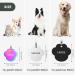Personalized Yehanti Dog ID Tag - Engraved Stainless Steel Name & Contact Info for Dogs Cats & Puppies - Buy Online on SooperMarket.com