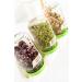 Buy MyNatura Bio Germs Sprouts Buckwheat Vegetables | Healthy Vegan & Vegetarian Superfood (2x500g) - Shop Internationally! - Buy Online on SooperMarket.com