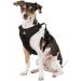 Littlearth NFL Philadelphia Eagles Front Clip Pet Harness - Team Color (Large) - Buy Online on SooperMarket.com