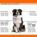 3Pack 10 Blade Dog Grooming Clipper Replacement Blades Compatible with Andis/Wahl/Oster Dog Clippers Detachable Ceramic Blade & Stainless Steel Blade 3 pieces #10 - Buy Online on SooperMarket.com