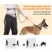 Hurluksi Dog Waist Lead - Hands-Free Heavy Duty Running Belt Leash with Bungee Retractable Design and Sponge Handle (Orange) - Buy Online on SooperMarket.com